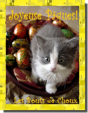 http://lesboutsdechoux.new.fr/