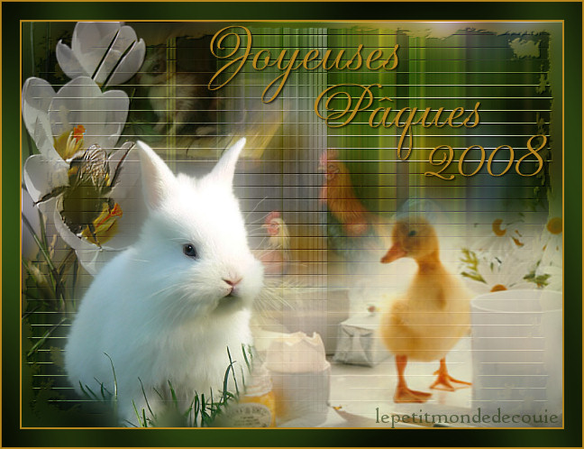 http://www.lepetitmondedecouie.123.fr