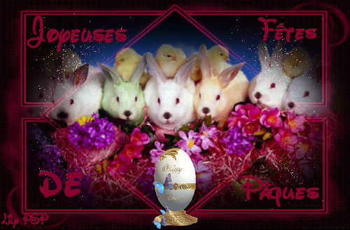 http://lilypsp.ifrance.com/