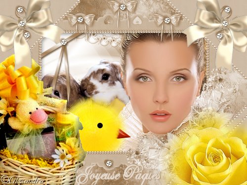 http://site.voila.fr/douceursdealex1/index.html