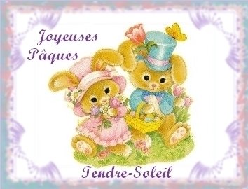 http://www.tendre-soleil.com/