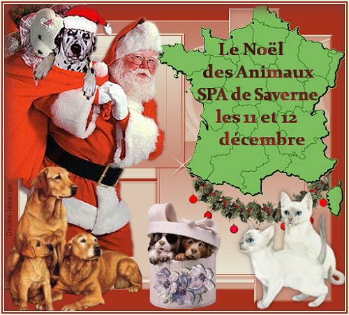 Merci Dedee ^_^