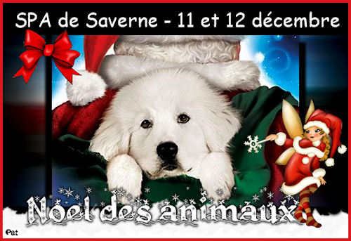 Merci Pat ^_^