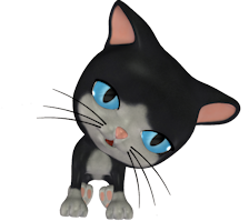 Miaouuu...