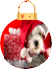 Joyeux Noël Ming Yue :)